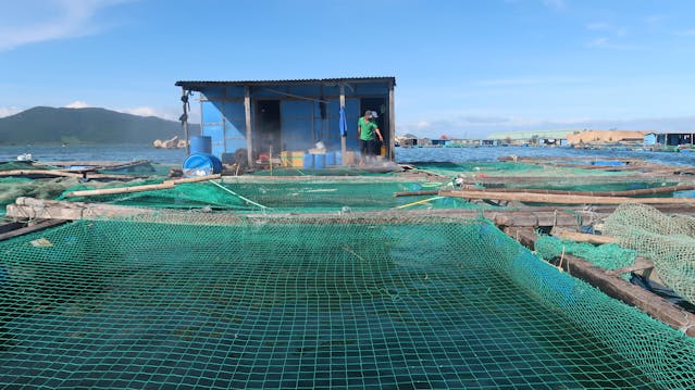 Produksi Perikanan Budi Daya Kota Pasuruan Capai 2.216 Ton, Diprediksi Lampaui Target 2023