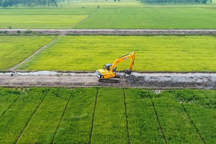 Pentingnya Pertanian Berkelanjutan di Tengah Tantangan Konversi Lahan dan Perubahan Iklim