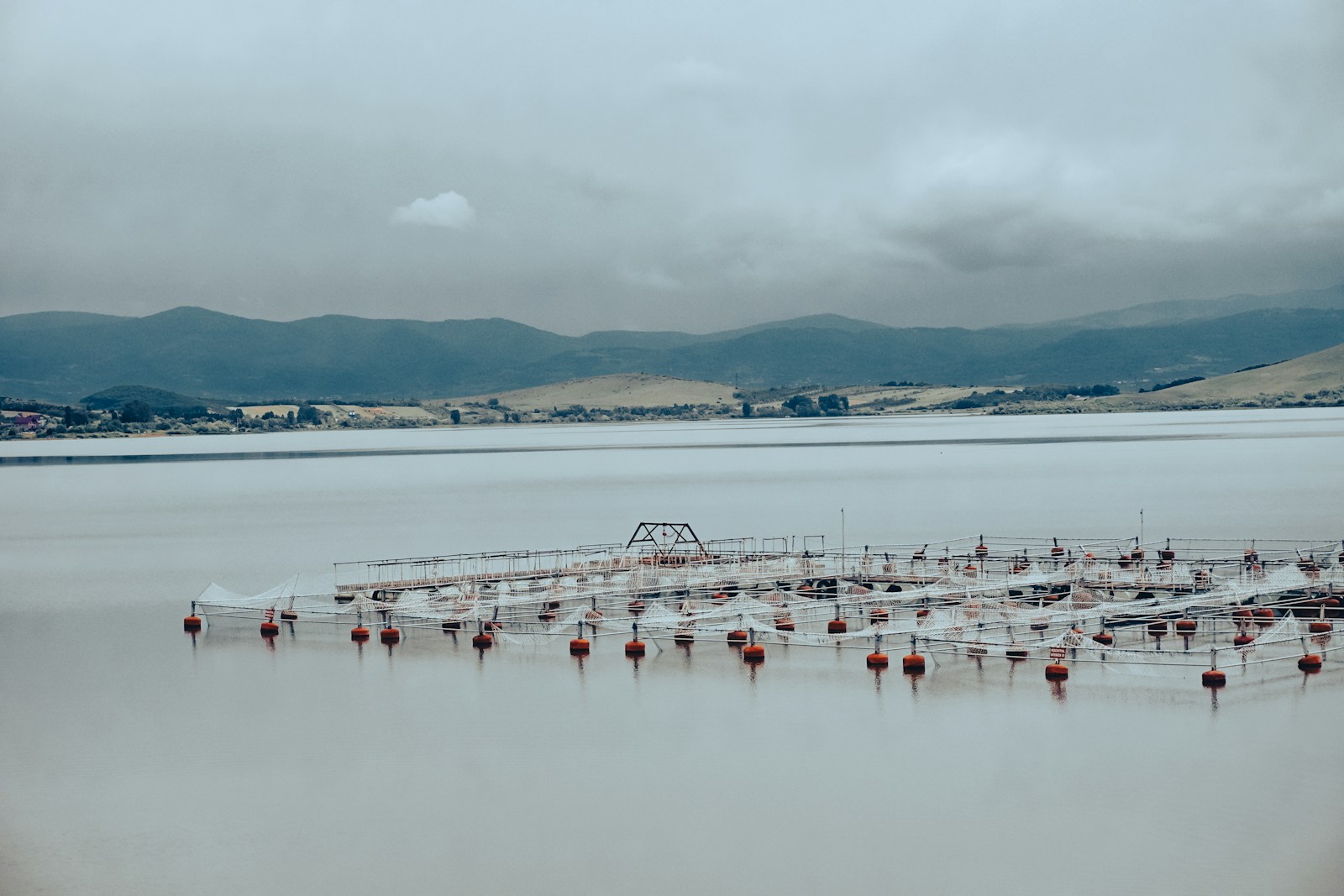 a large body of water filled with lots of boats