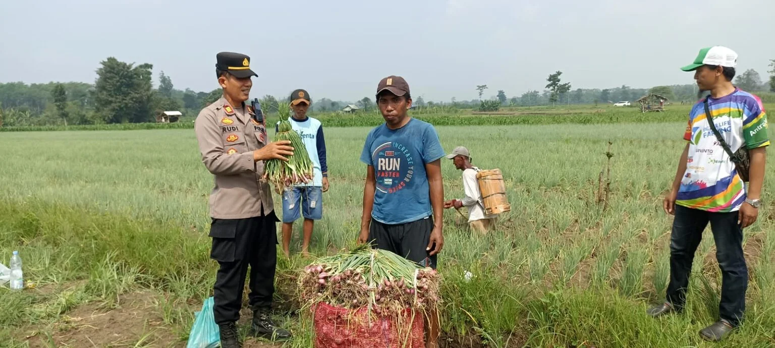 Polres Pasuruan Dorong Ketahanan Pangan Lewat Pendampingan Petani Bawang Merah