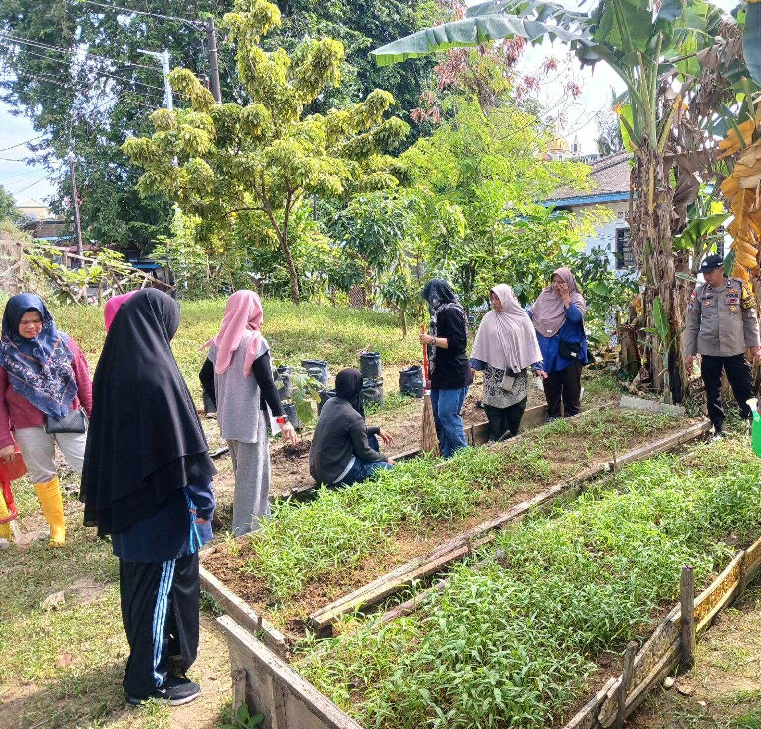 Polsek Lubuk Baja dan Masyarakat Sulap Lahan Tidur Jadi Kebun Produktif Dukung Ketahanan Pangan Nasional