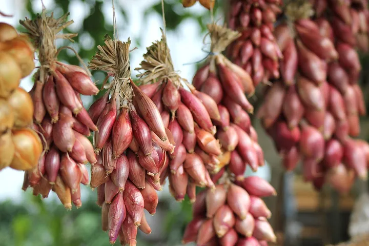 Harga Pangan di Maluku Utara Masih Tinggi, Cabai dan Telur Jadi Sorotan