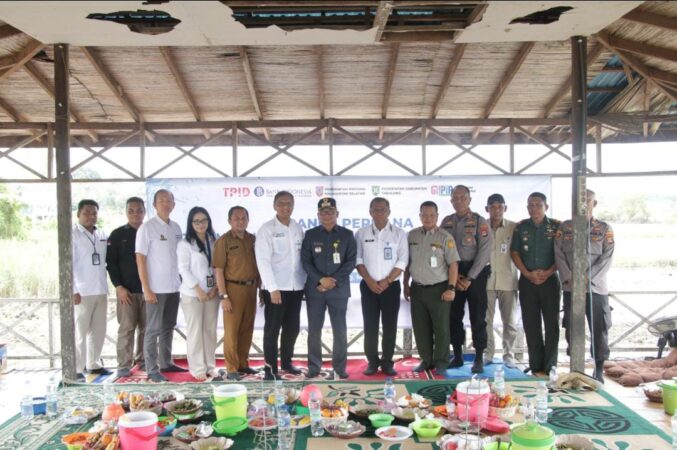 Padi Apung di Tabalong: Harapan yang Tumbuh dari Permukaan Air