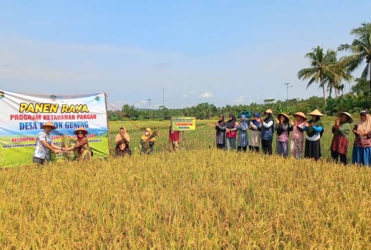 PANEN RAYA KWT SUMBER SARI: KEBERHASILAN PROGRAM KETAHANAN PANGAN DESA